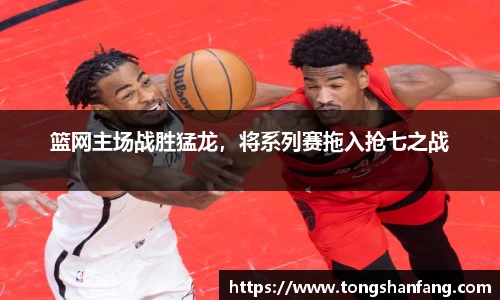 NG大舞台手机最新版本